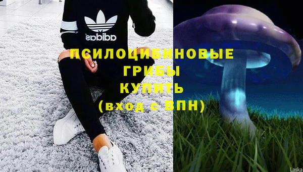 соль ск Алексеевка