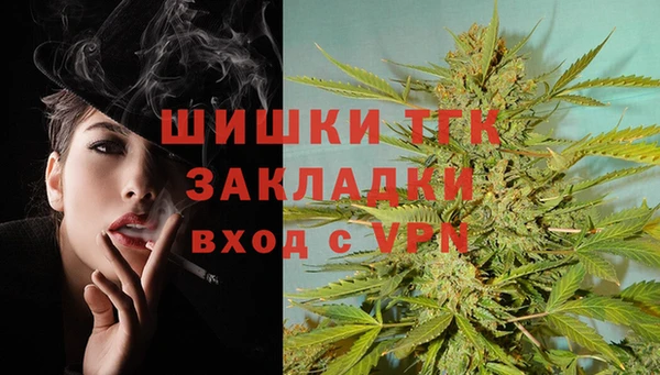 трава Аркадак